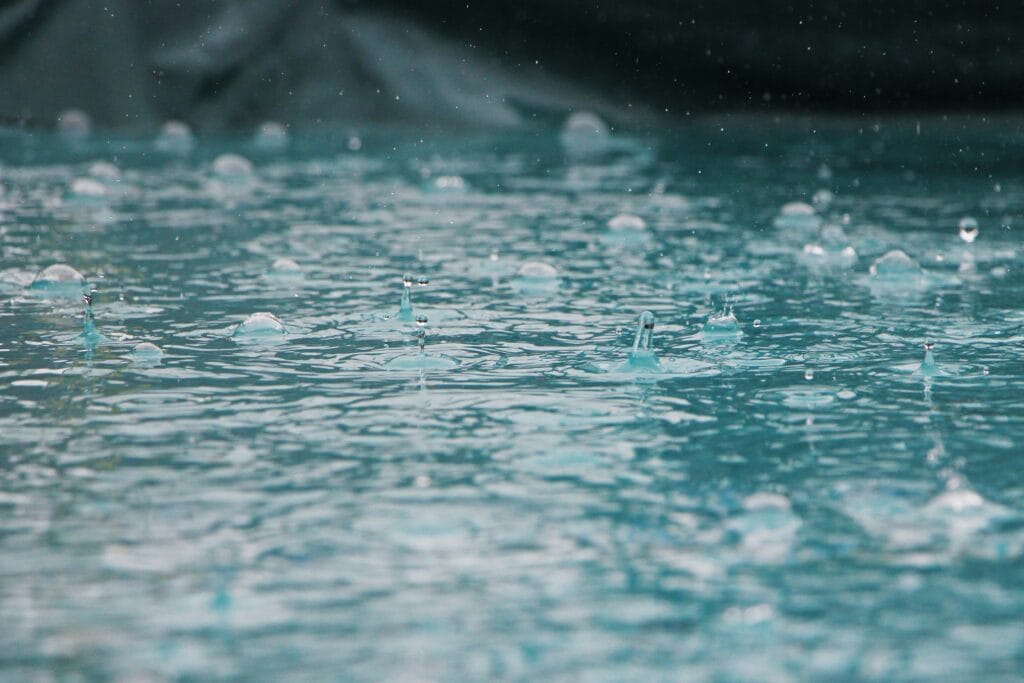 Inge Maria Pv2ZlDfstXc Unsplash 1024x683 1