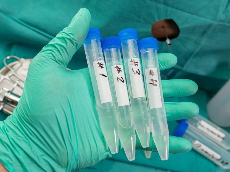 Water Testing Process